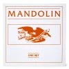 Stewart-MacDonald Mandolin Strings - StewMac