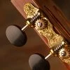 Sloane Classical Guitar Tuners With Ebony Knobs And Flower Baseplates - StewMac