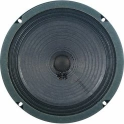 Jensen P8R 25W 8 6 Jensen P8R 25W 8 -Strings + Accessories Shop 50590 3 440