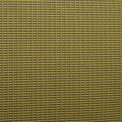 Beige/Brown, Gold Stripe Grill Cloth, 59