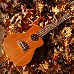 StewMac Cutaway Ukulele Kits - StewMac -Strings + Accessories Shop 5854 3 in use 2 1200